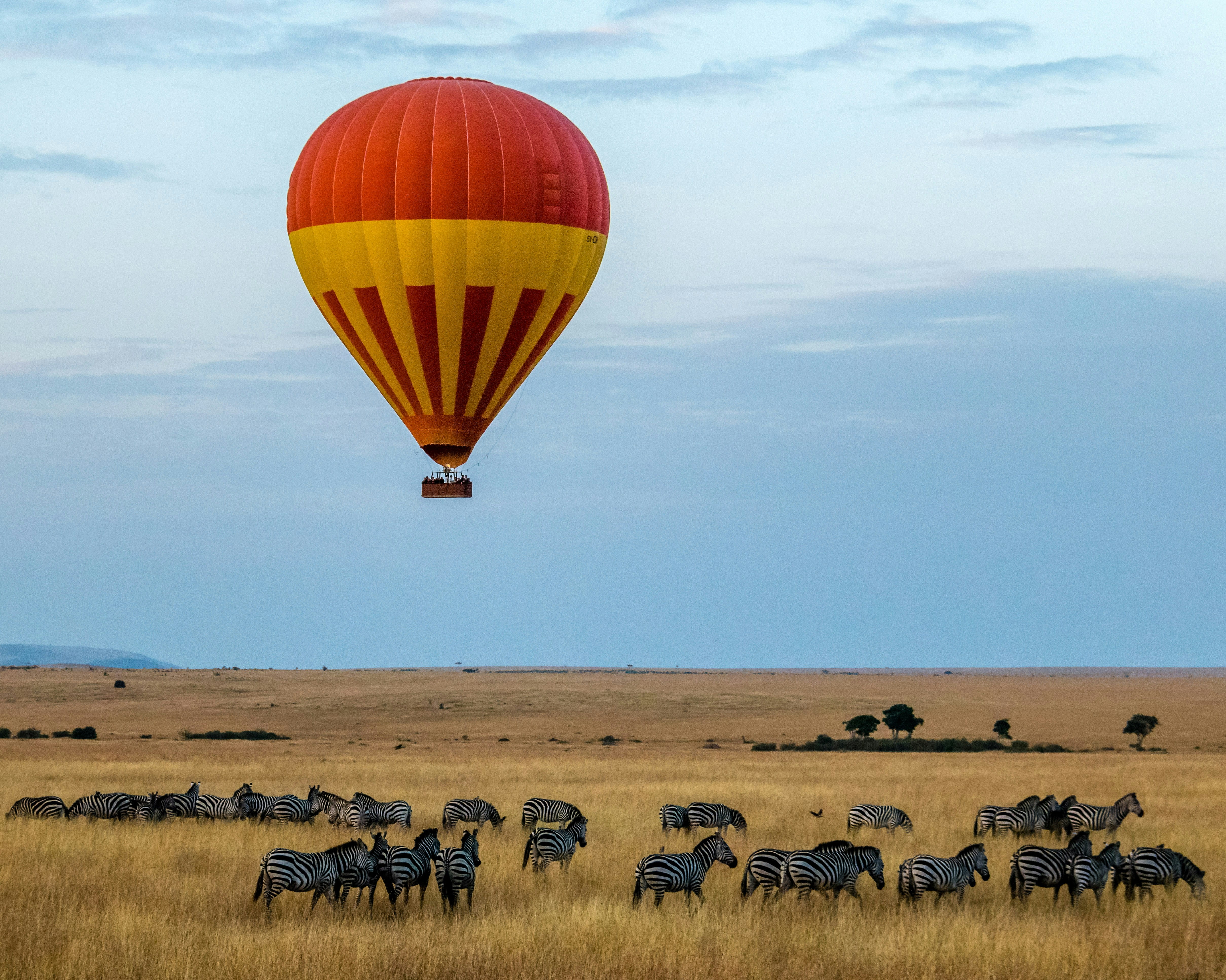 Safari en Globo por el Masai Mara